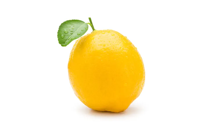 Nevada Lemon Law Cover Image