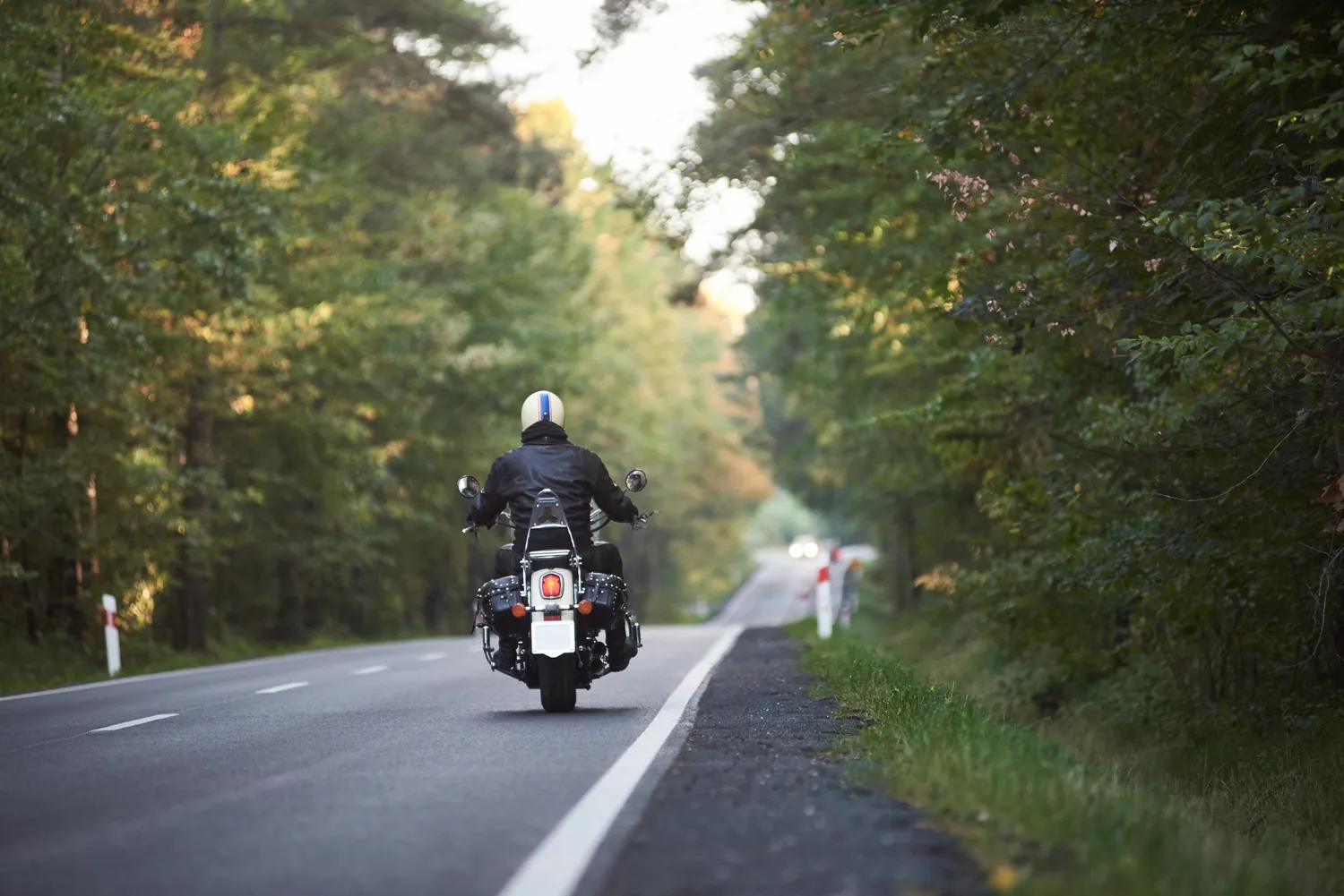 Image of motorcycle driving on a road surrounded by a forest