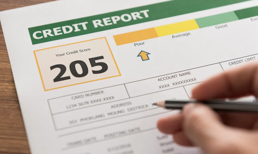 Credit score paper showing a credit score of 205